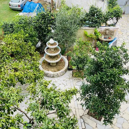 Gæstehus Flora Tirana